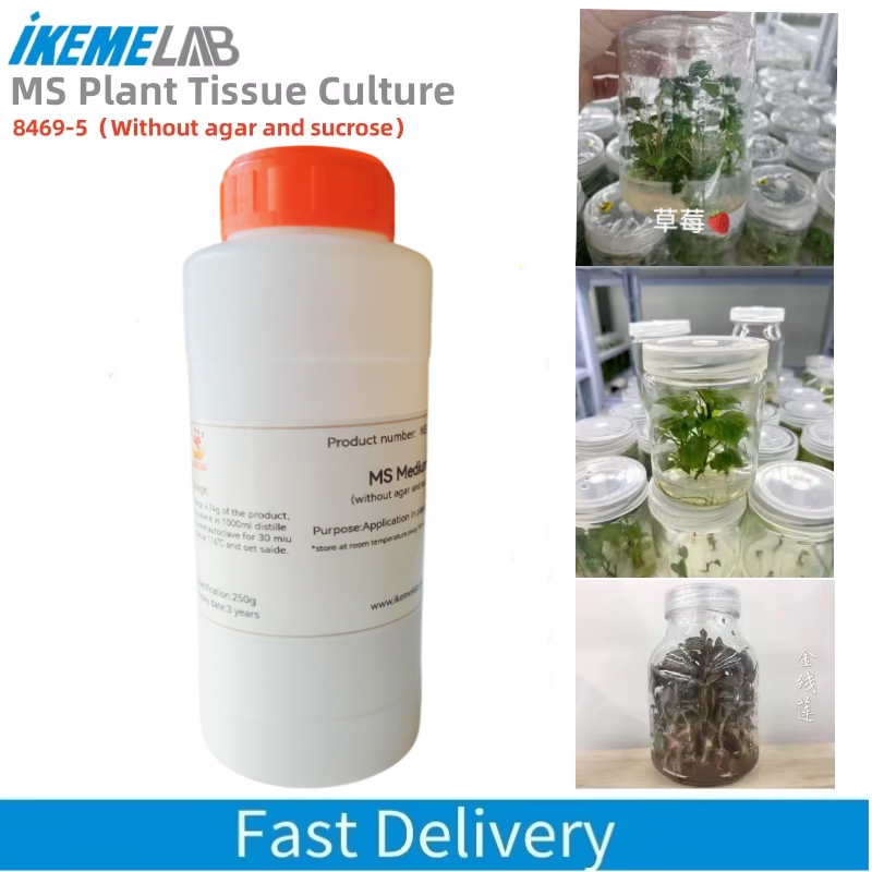 Agar Tissue Culture - IKEME 250 г Lab MS Средний