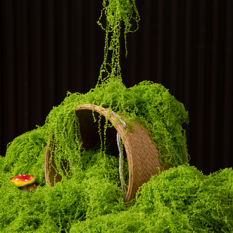 Sphagnum Moss Dry - 200 г. Искусственный мох «Вечная жизнь»