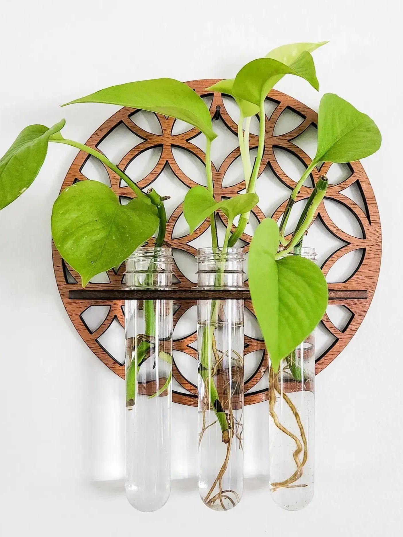 Propagation Station Vase - Садовые настенные горшки, комнатная деревянная круглая