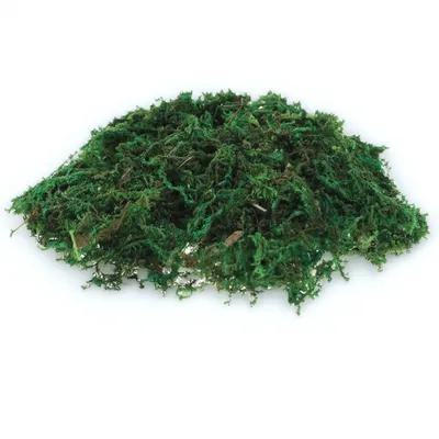 Sphagnum Moss Dry - Набор из 1 упаковки натурального искусственного