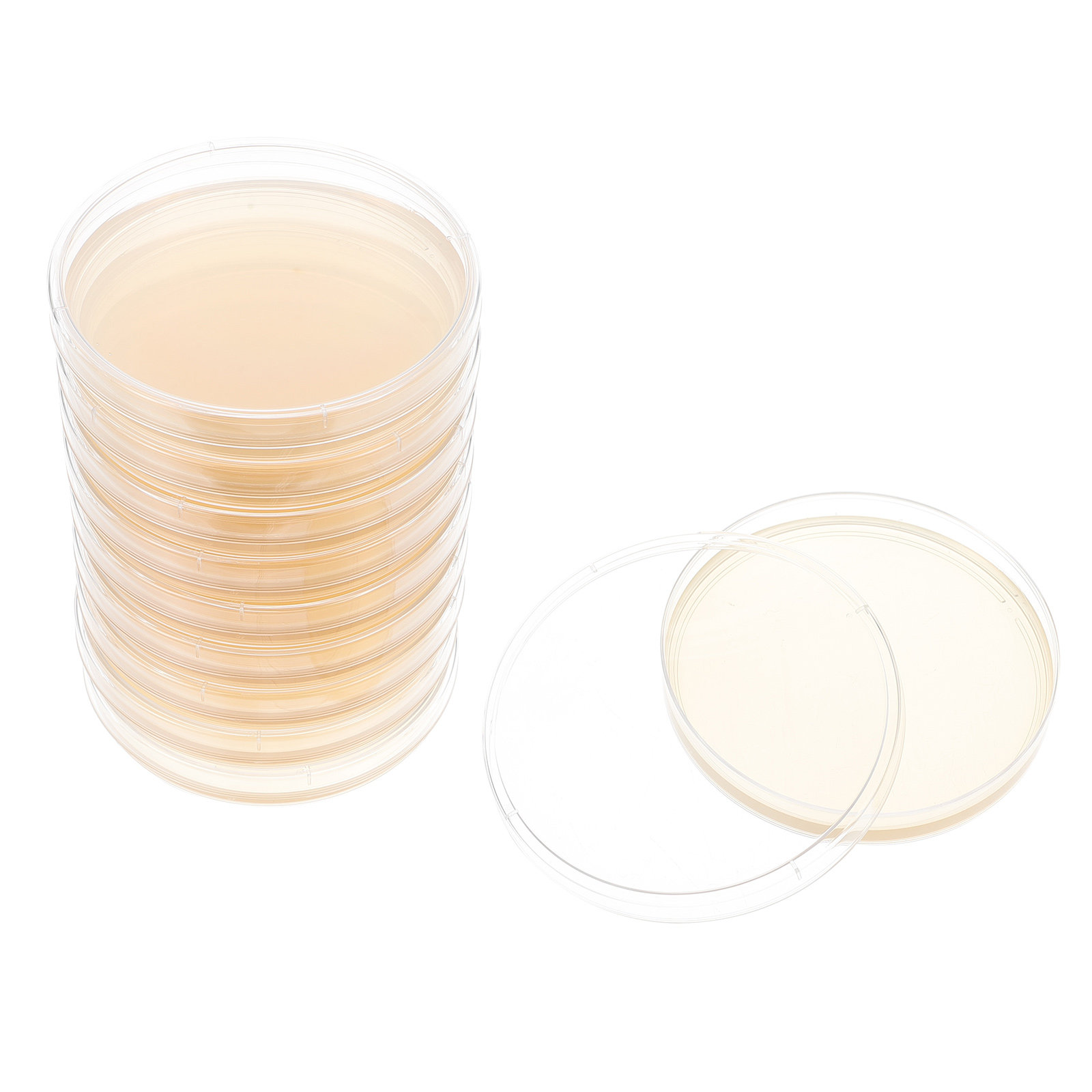 Agar Tissue Culture - 10 шт. предварительно заполненных чашек Петри