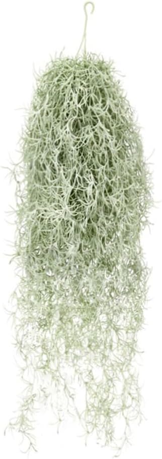 Sphagnum Moss Dry - Искусственные флокированные воздушные растения Tillandsia 31