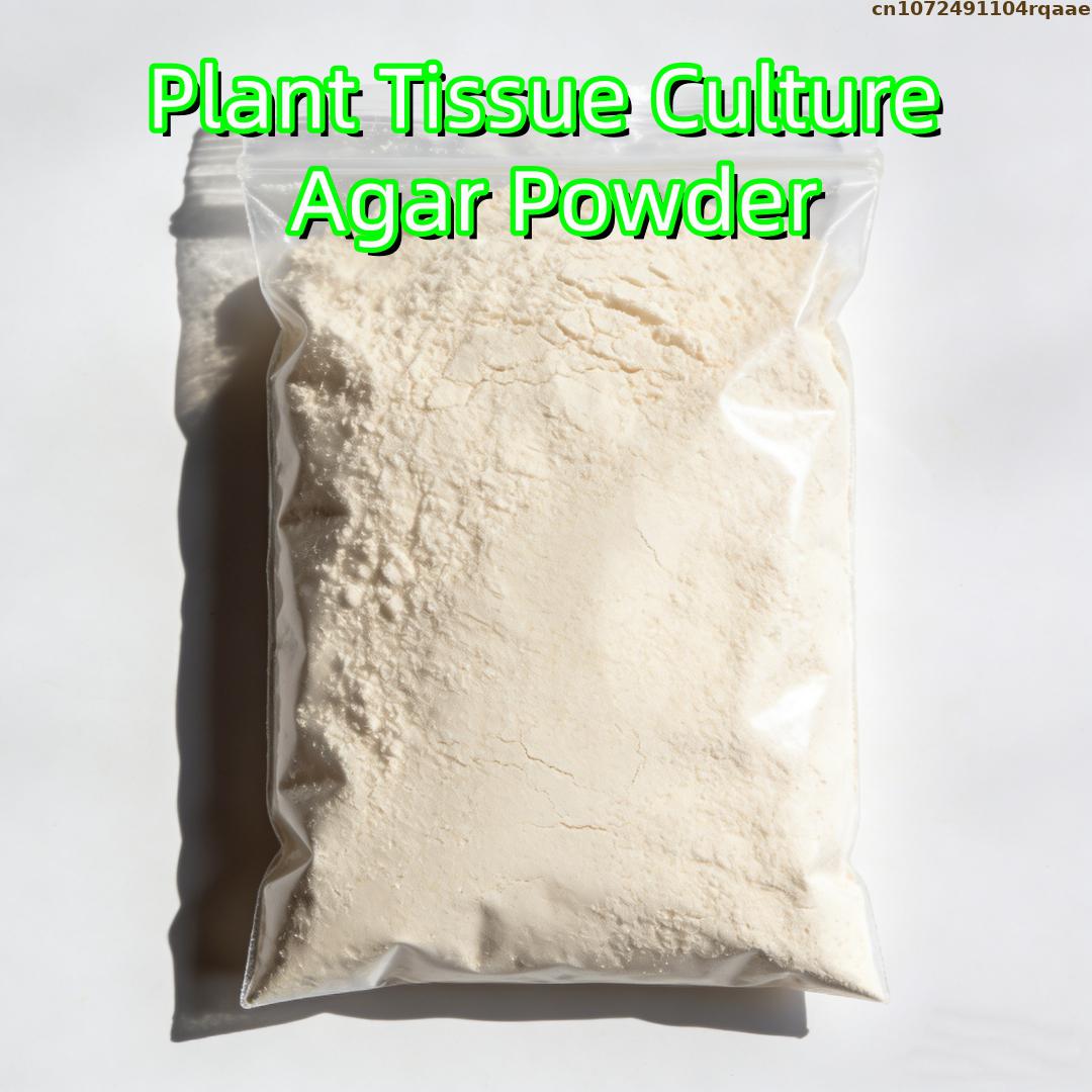 Agar Tissue Culture - Высококачественный агар-агар для растительных культур с