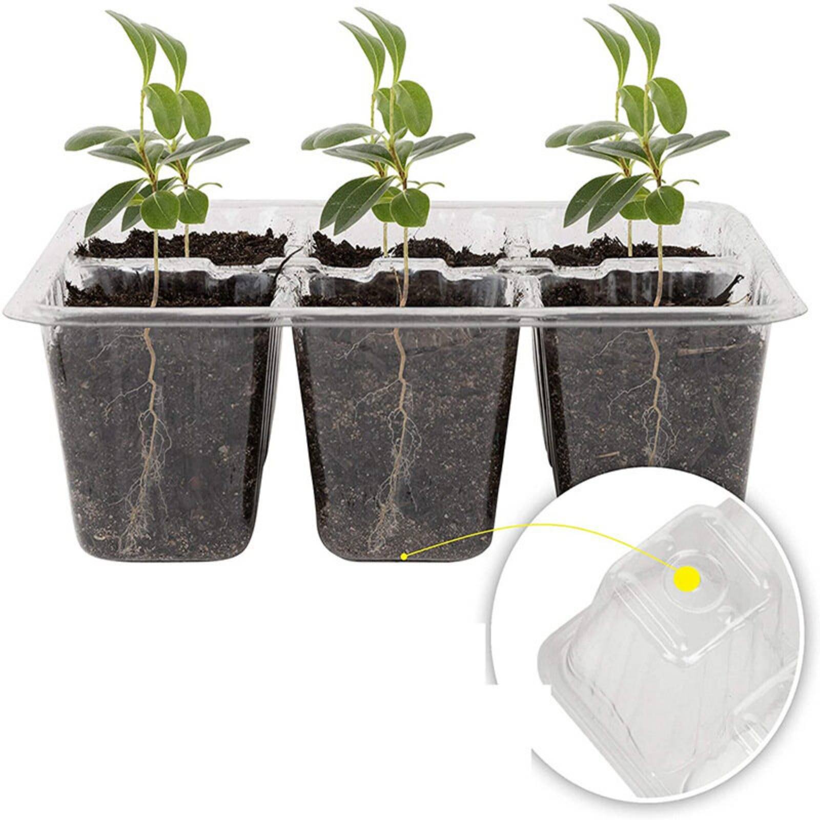 Humidity Dome Kit - Лоток для проращивания на 12 ячеек