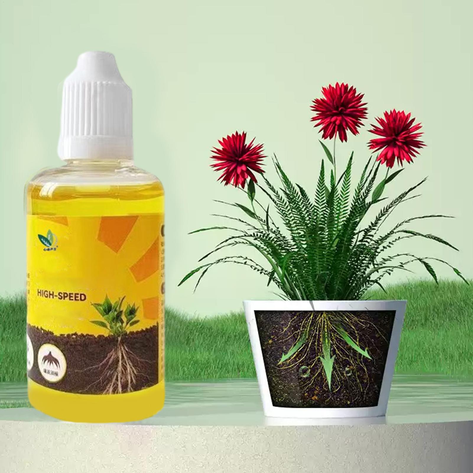 Root Stimulator Liquid - Раствор для быстрого укоренения растений 50