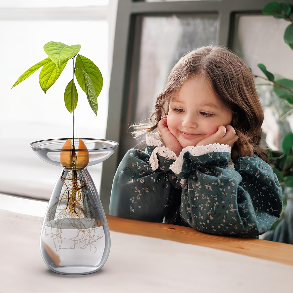 Propagation Station Vase - Прозрачная стеклянная ваза для проращивания семян
