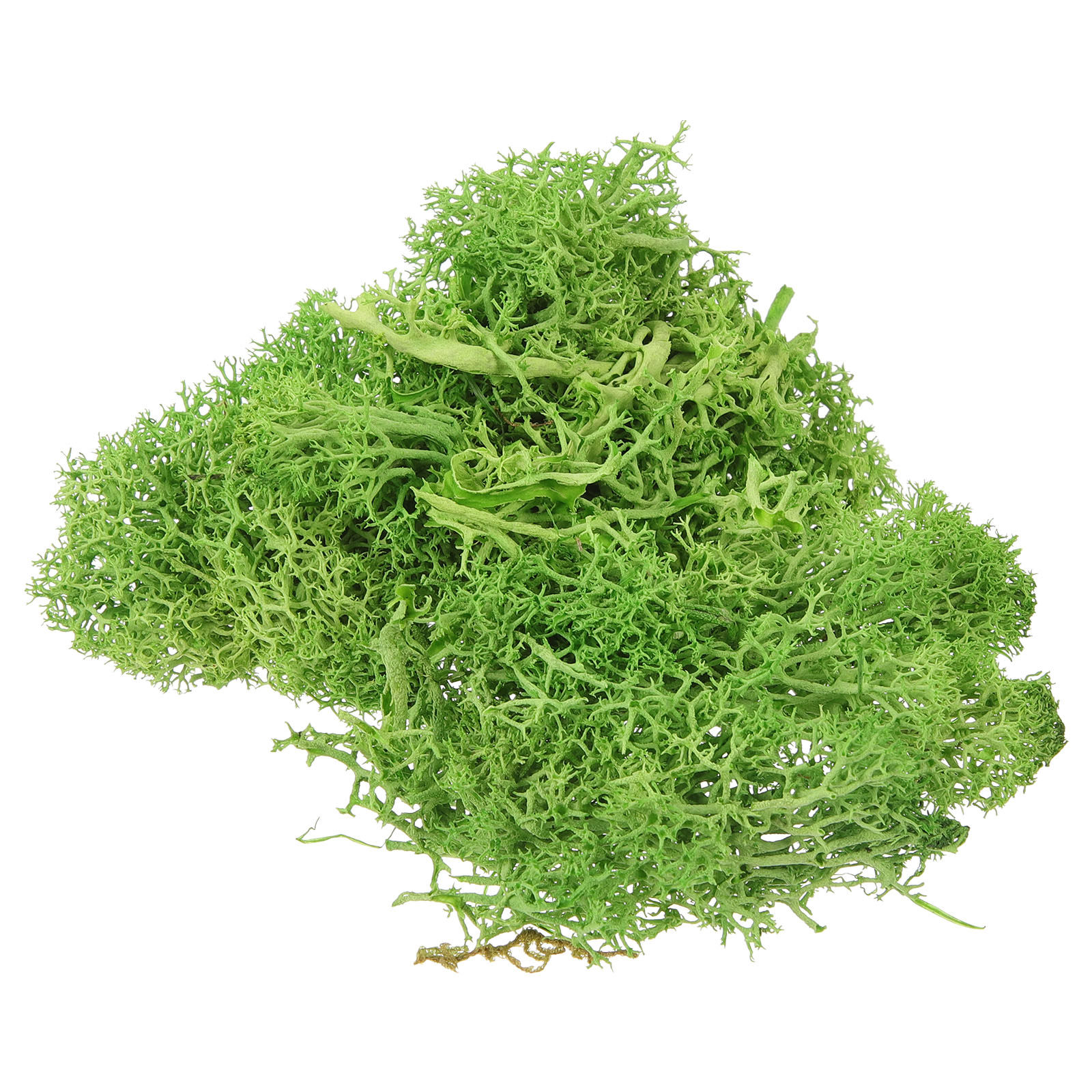 Искусственный мох сфагнум кори – обзор и цена Sphagnum Moss Dry