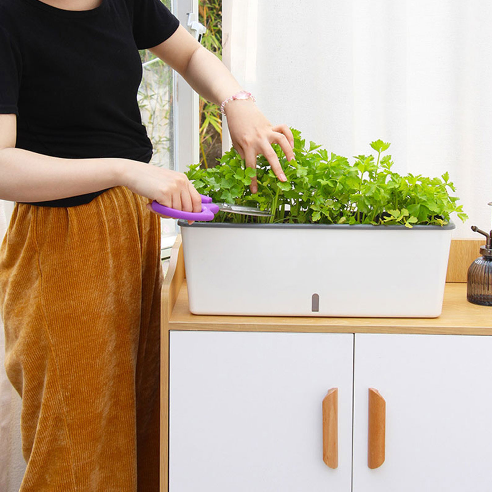 Самополивные горшки для цветов – обзор и цена Self Watering Insert