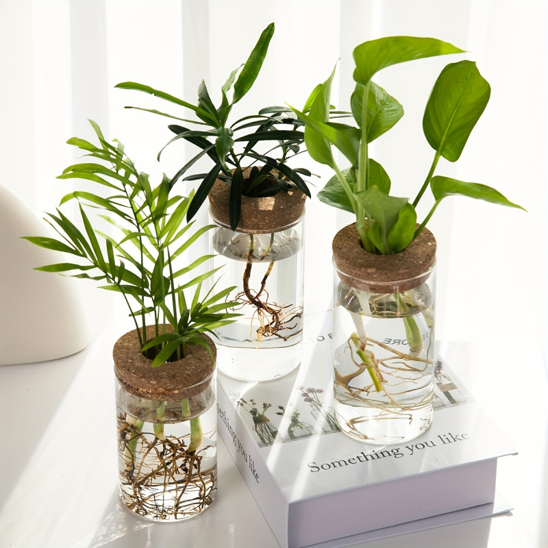 1 шт., Настольная Ваза для рас – обзор и цена Propagation Station Vase
