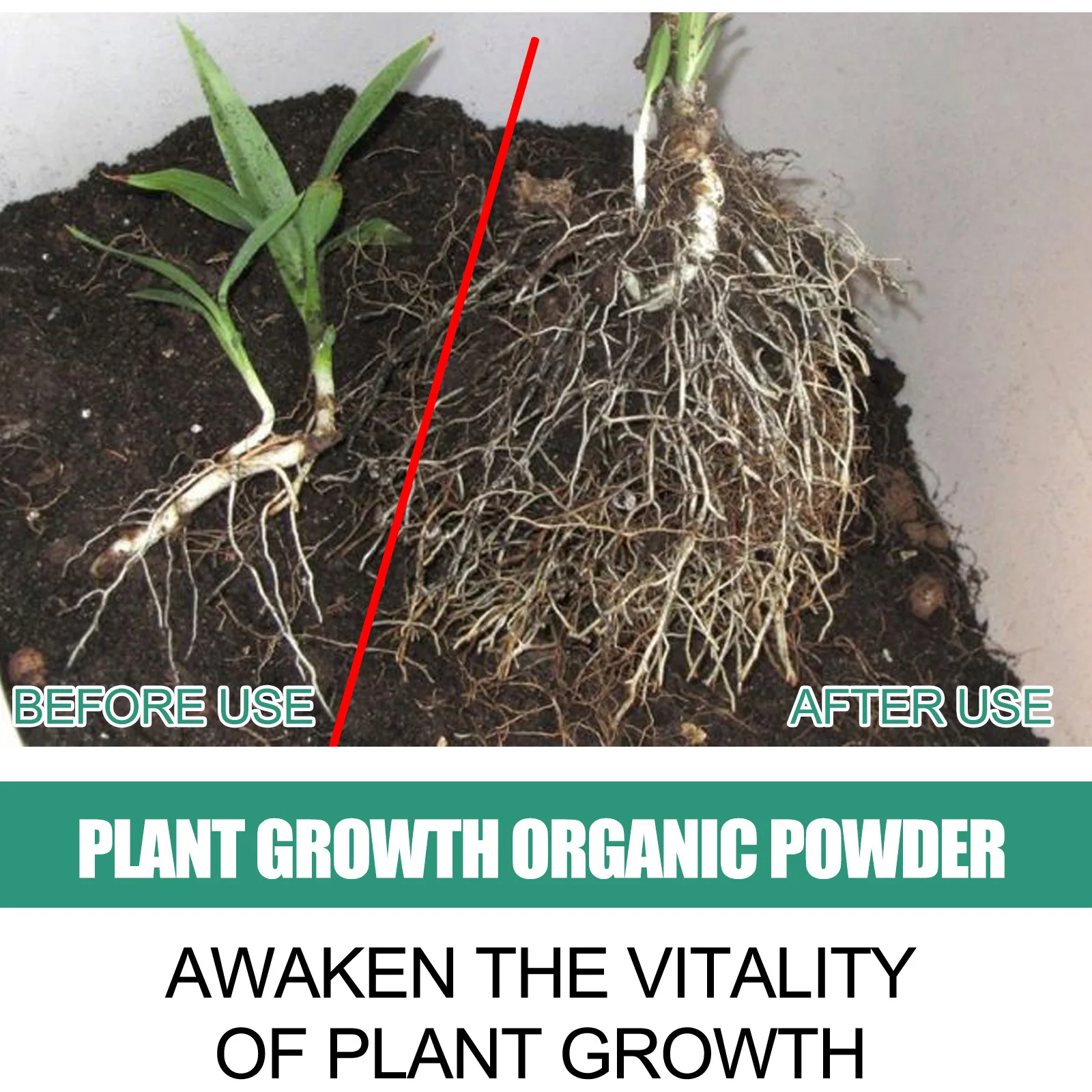 Порошок для быстрого укоренени – обзор и цена Rooting Hormone Powder