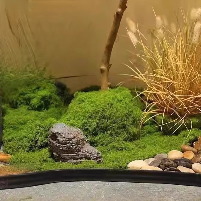 200 г. Искусственный мох «Вечн – обзор и цена Sphagnum Moss Dry