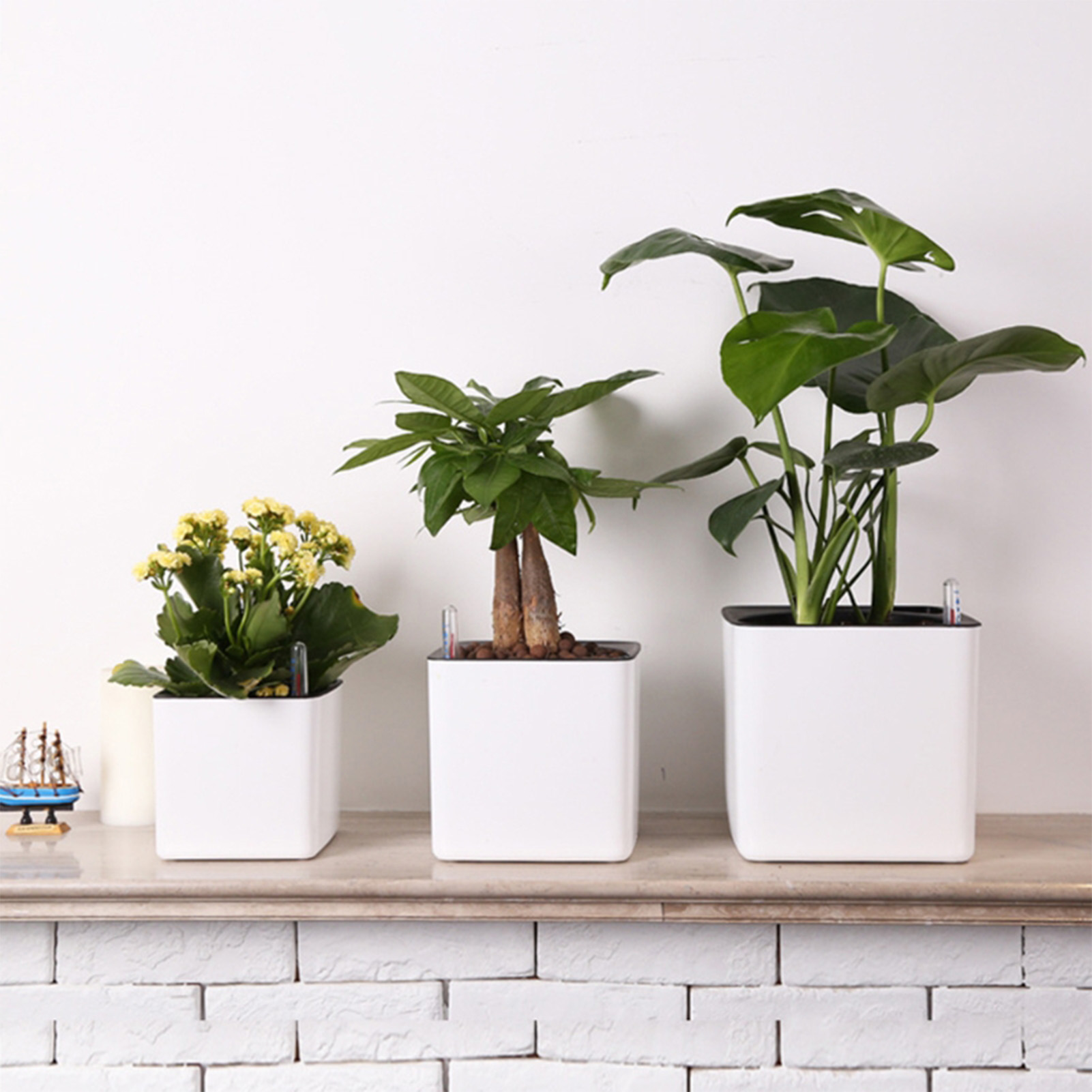 3-размерный ленивый цветочный  – обзор и цена Self Watering Insert