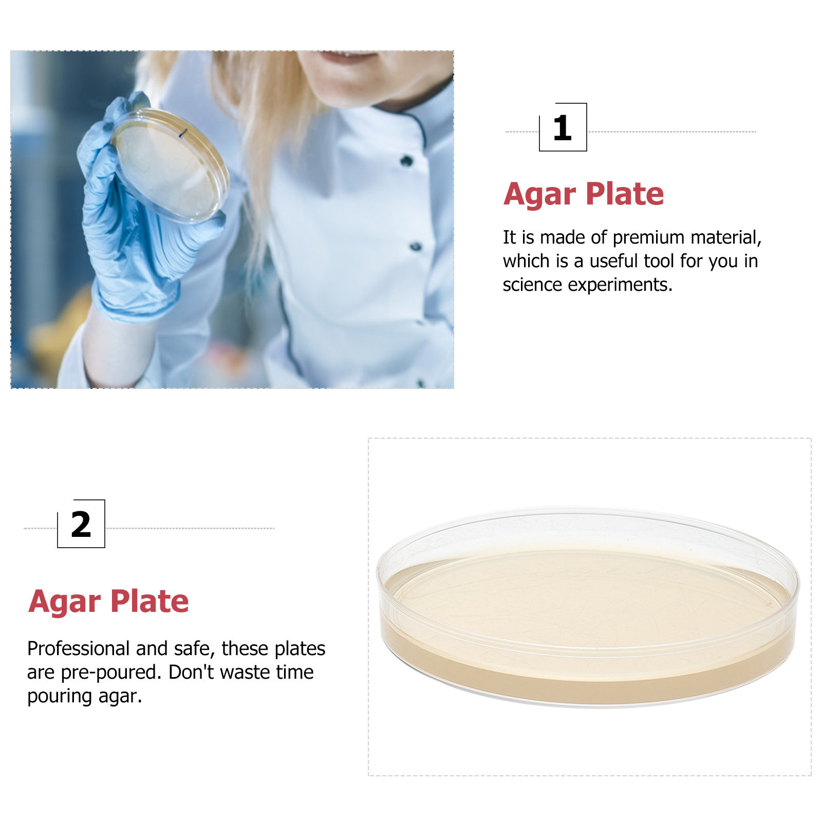 10 шт. предварительно заполнен – обзор и цена Agar Tissue Culture