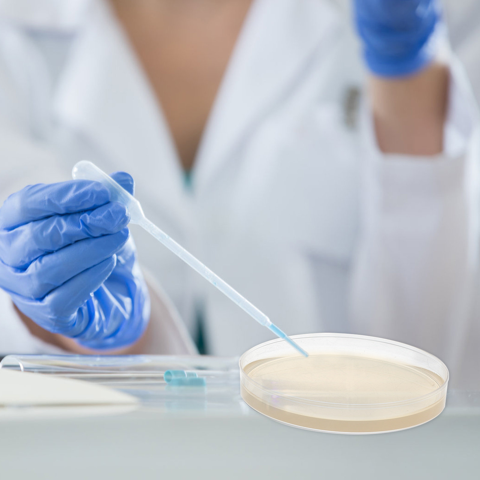 10 шт. предварительно заполнен – обзор и цена Agar Tissue Culture