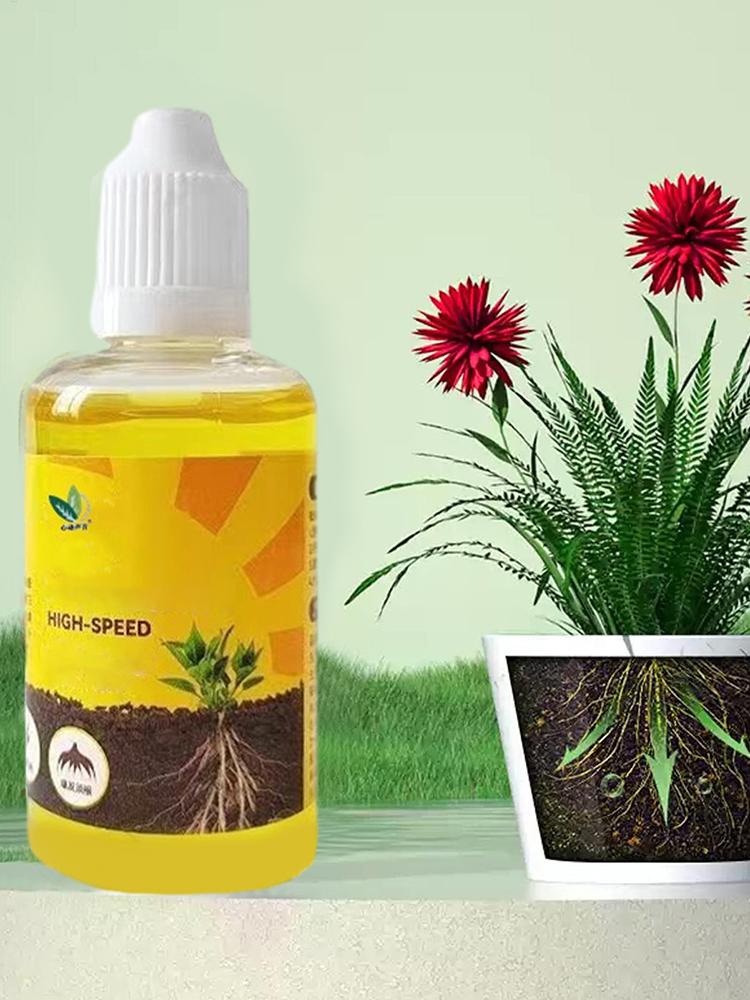 Жидкий стимулятор укоренения р – обзор и цена Root Stimulator Liquid
