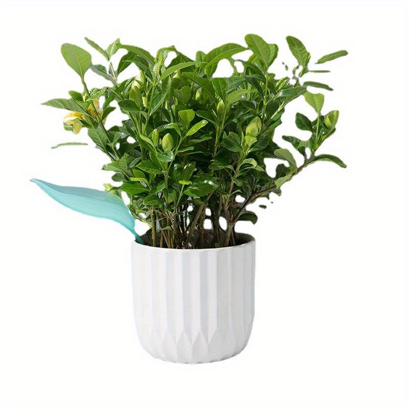 Креативная воронка для полива  – обзор и цена Self Watering Insert