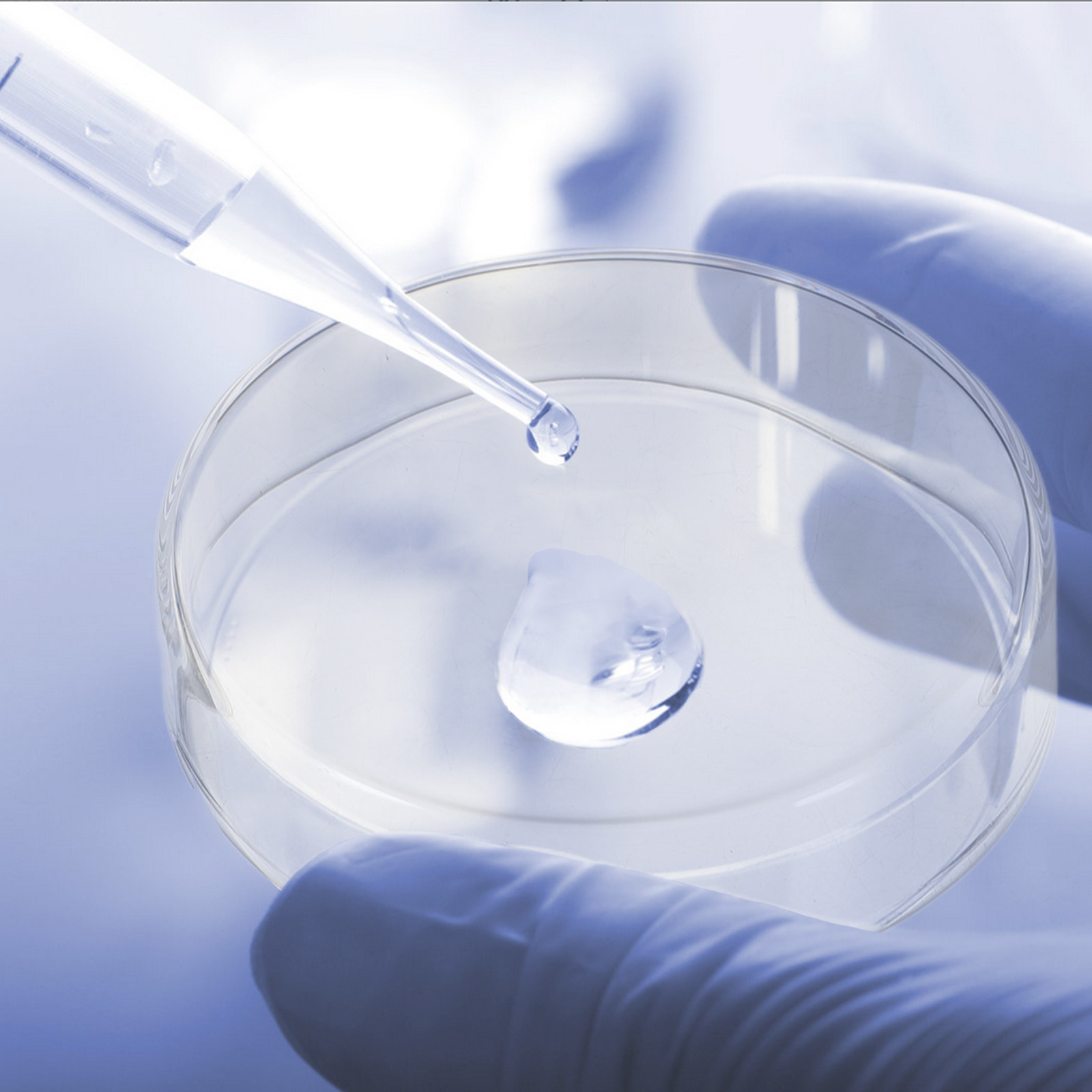Набор утолщенных стеклянных ча – обзор и цена Agar Tissue Culture