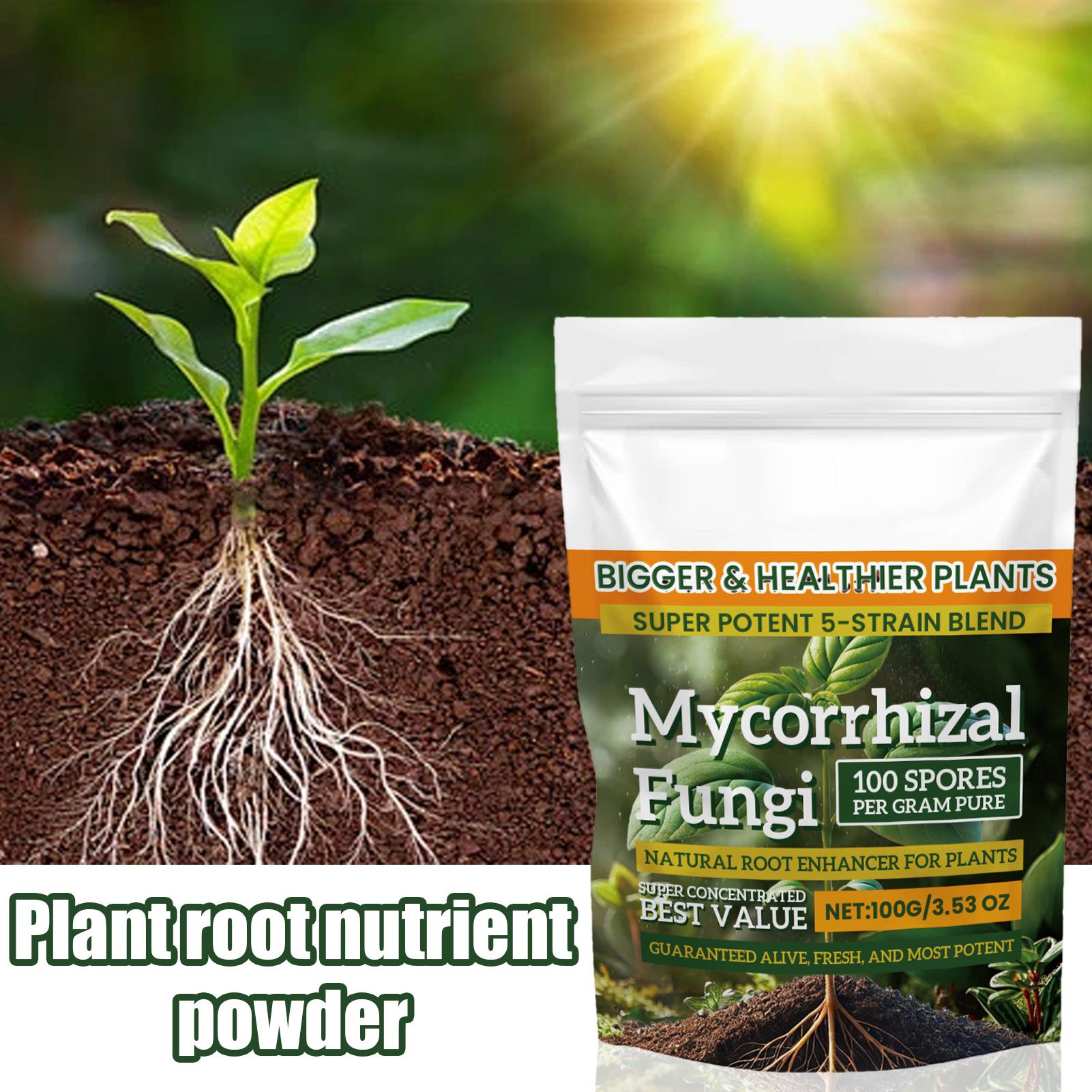 Новый порошок для питания раст – обзор и цена Rooting Hormone Powder