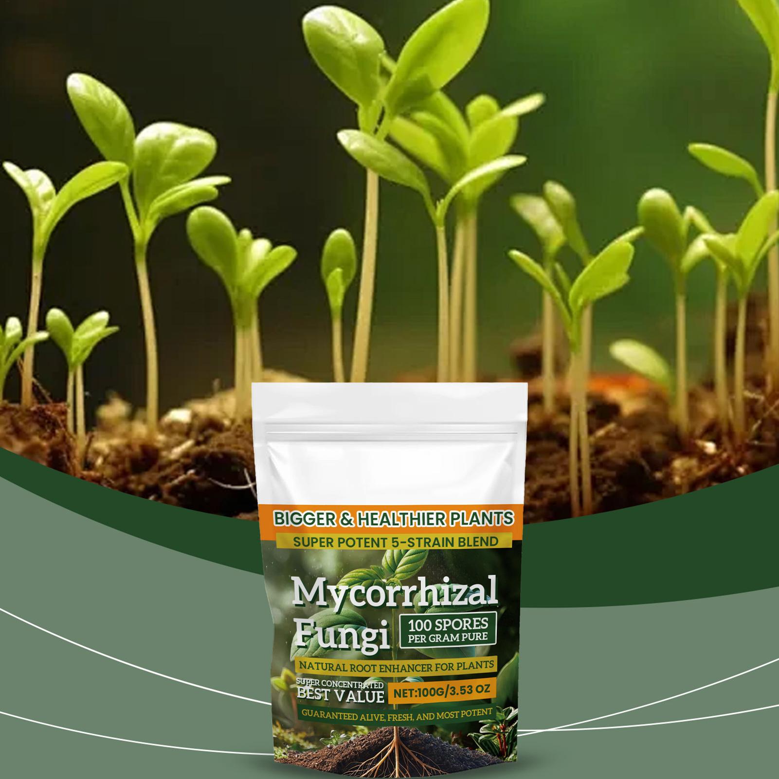 Новый порошок для питания раст – обзор и цена Rooting Hormone Powder