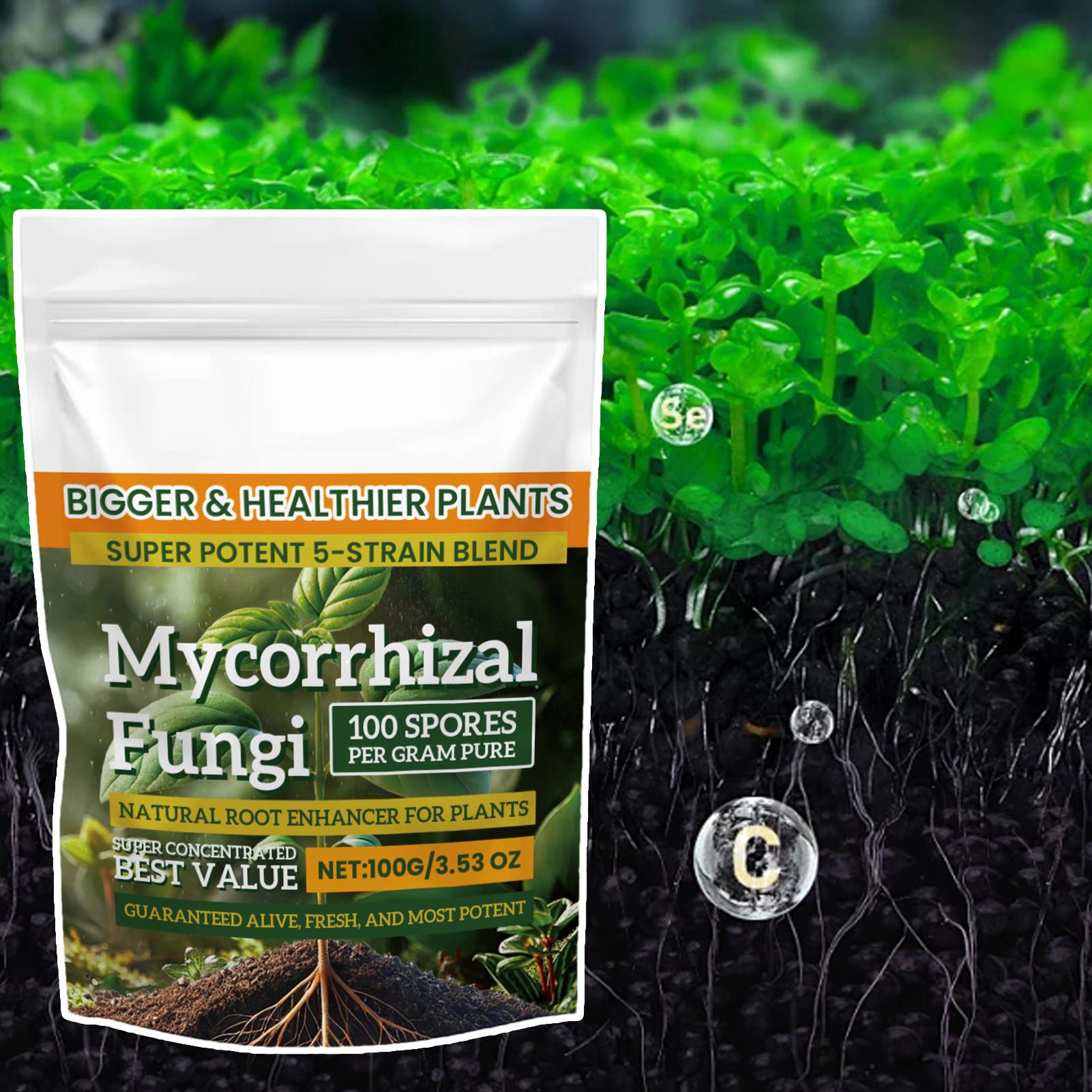 Новый порошок для питания раст – обзор и цена Rooting Hormone Powder