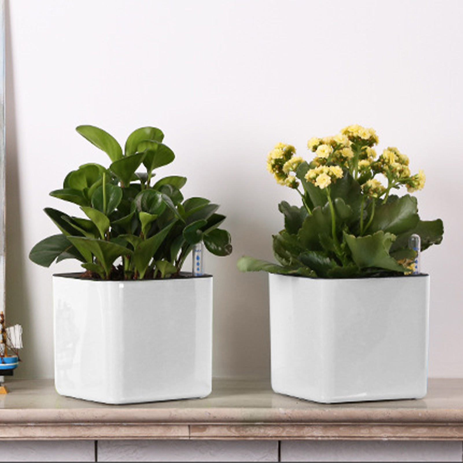 Кашпо с автополивом, горшок с  – обзор и цена Self Watering Insert
