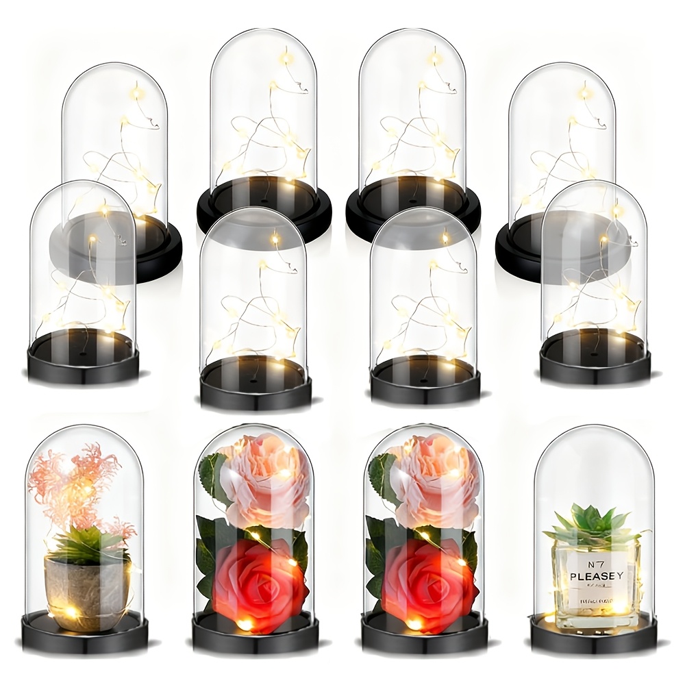 Прозрачная пластиковая коробка – обзор и цена Plastic Dome Clear