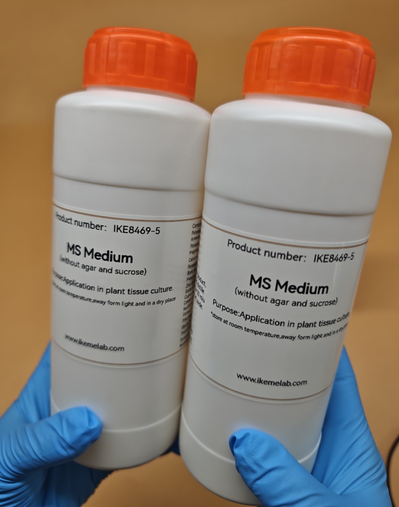 IKEME Lab MS Средний 250 г без – обзор и цена Agar Tissue Culture