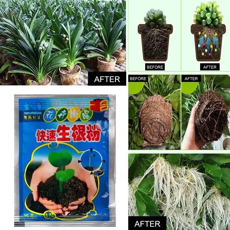 5 шт., порошок для быстрого ук – обзор и цена Rooting Hormone Powder