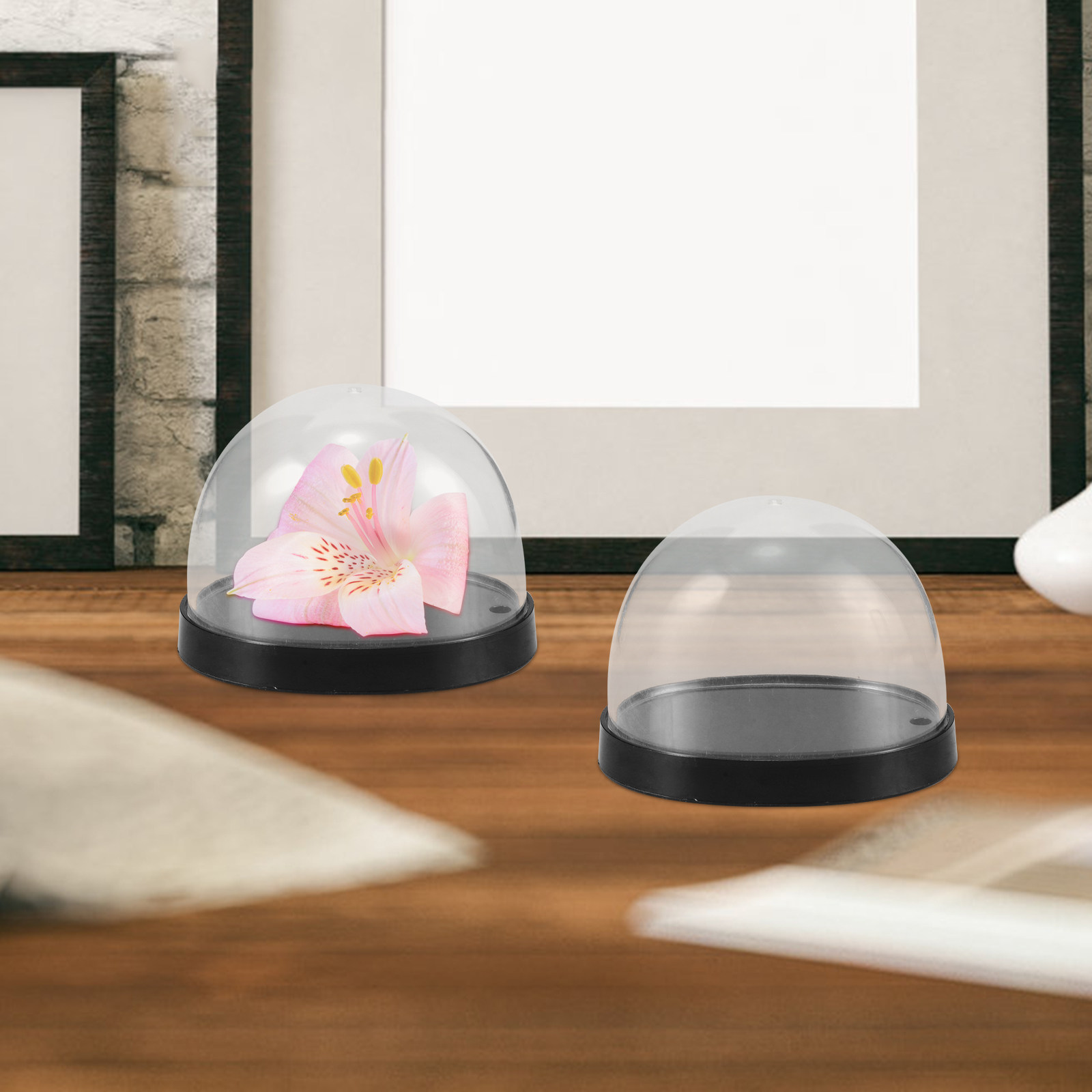 5 комплектов высокопрозрачных  – обзор и цена Plastic Dome Clear