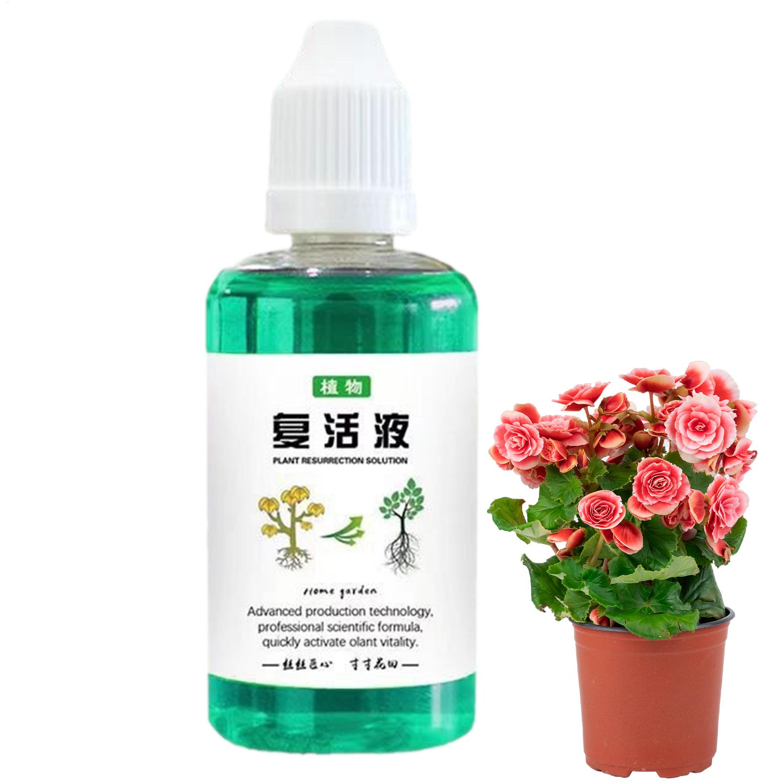 Стимулятор роста корней для ра – обзор и цена Root Stimulator Liquid