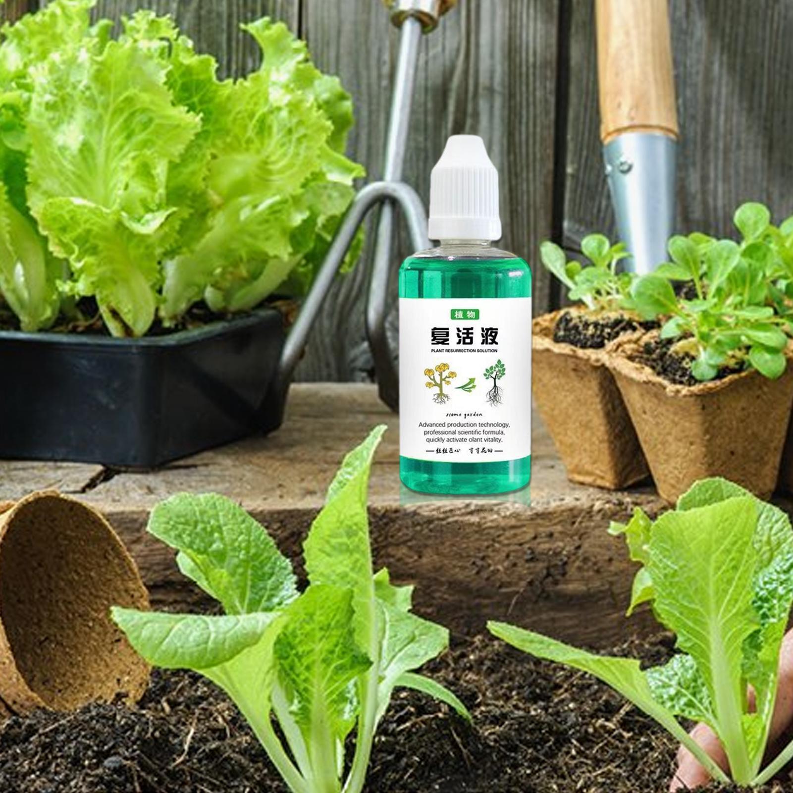 Стимулятор роста корней для ра – обзор и цена Root Stimulator Liquid