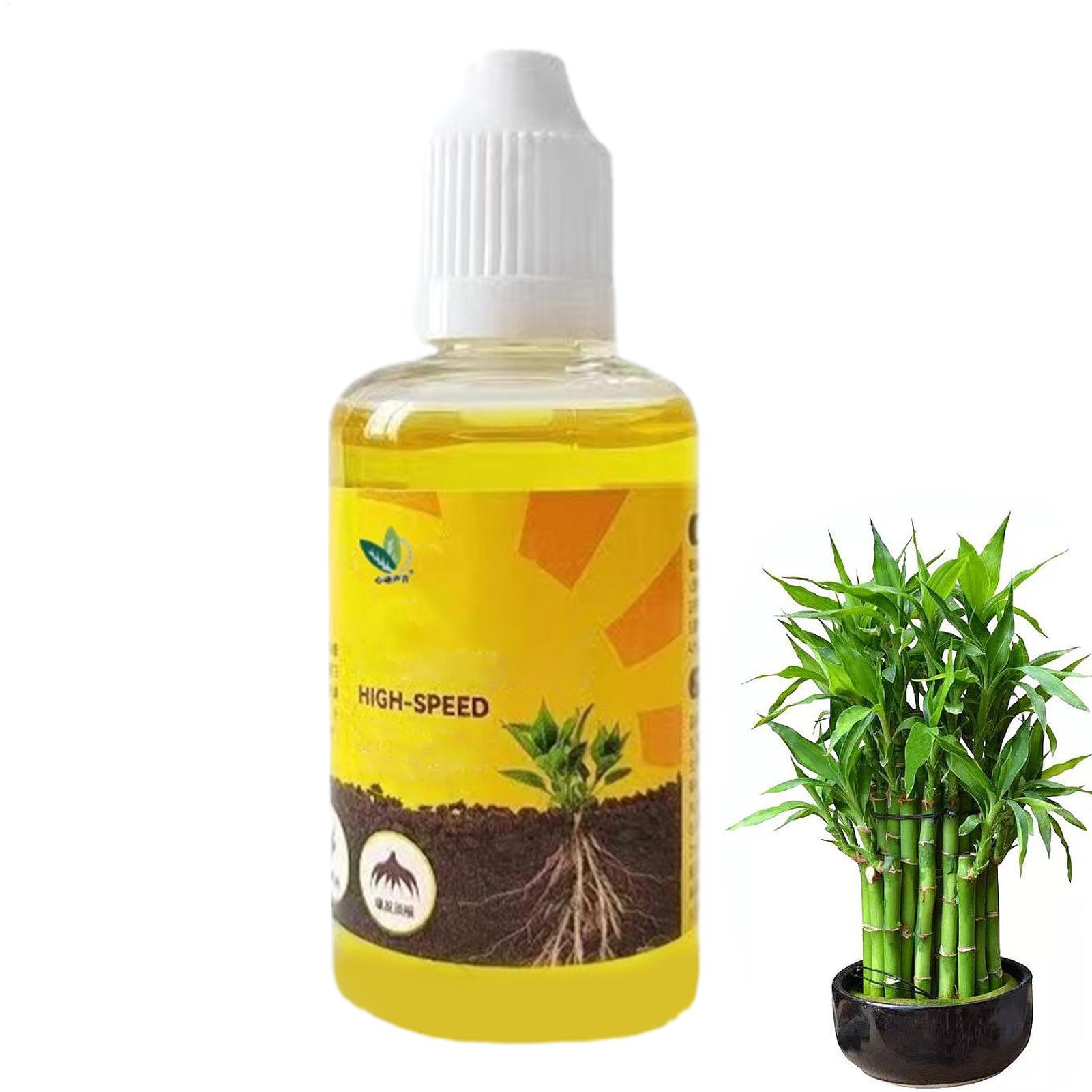 50 мл стимулятор укоренения ра – обзор и цена Rooting Hormone Powder