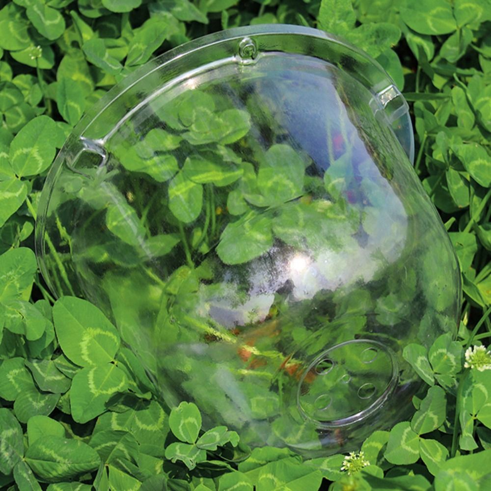 Многоразовый прозрачный пласти – обзор и цена Plastic Dome Clear