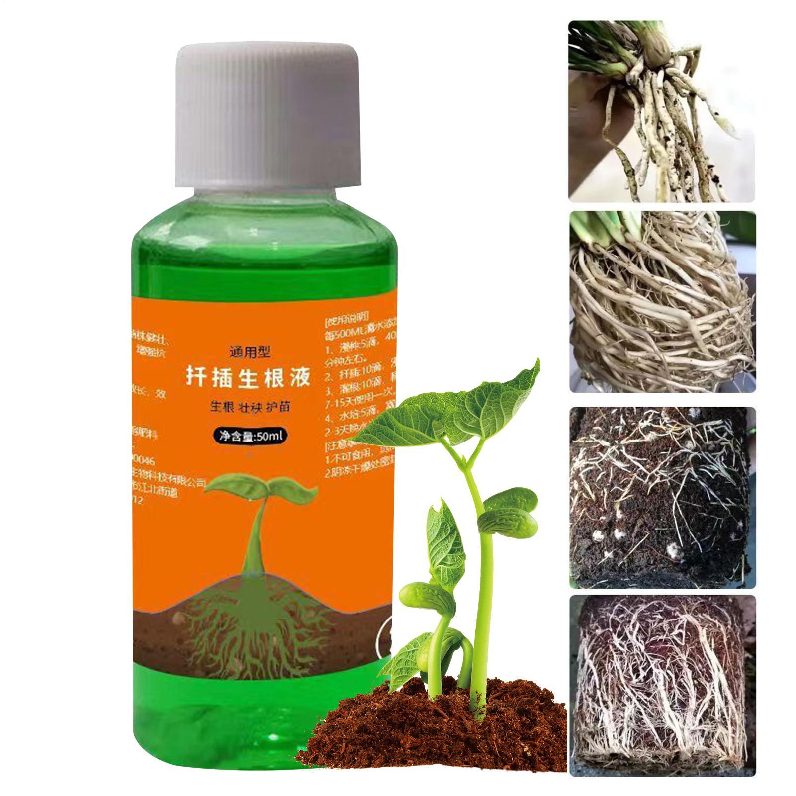 Высокоэффективный стимулятор к – обзор и цена Root Stimulator Liquid