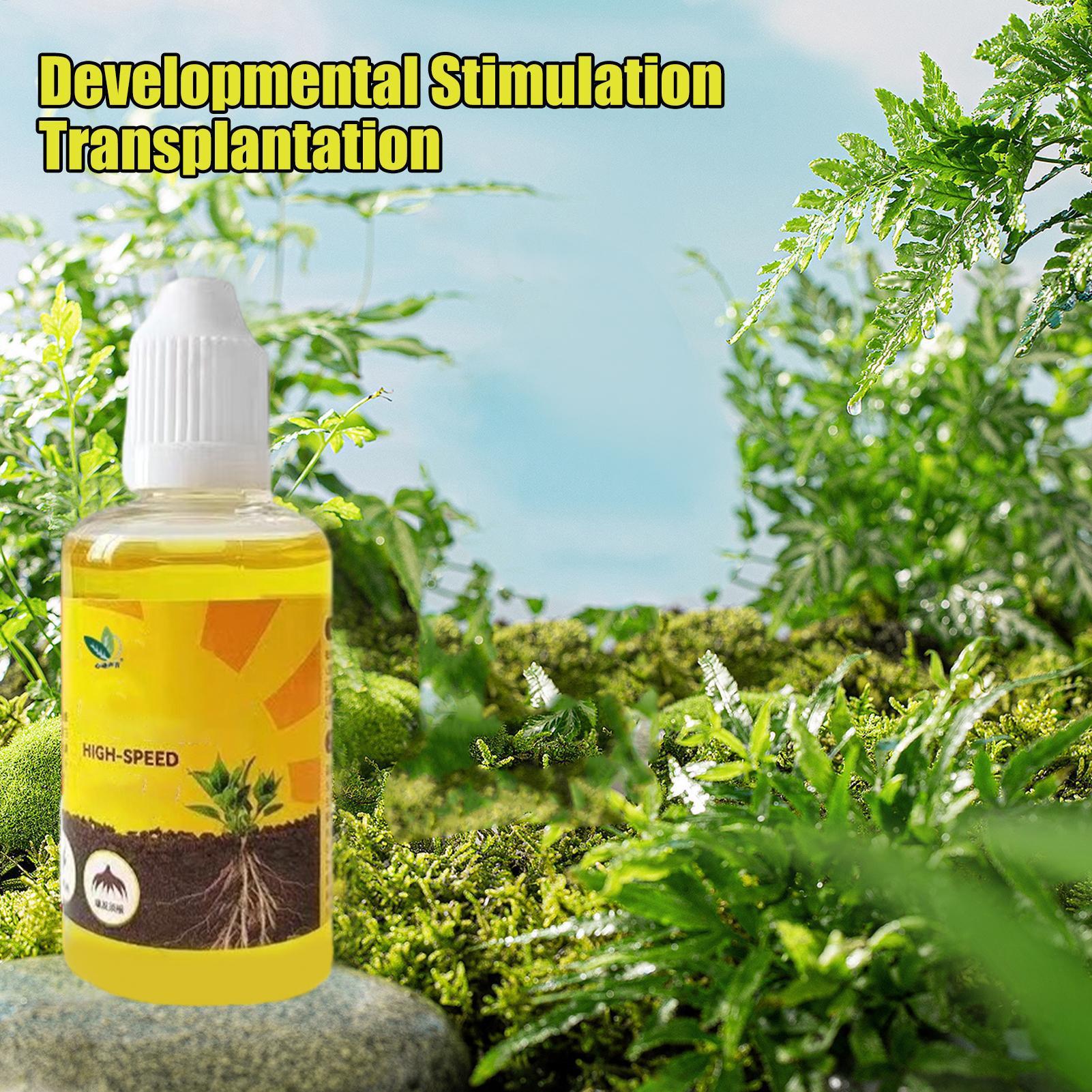 Жидкость для воскрешения расте – обзор и цена Root Stimulator Liquid