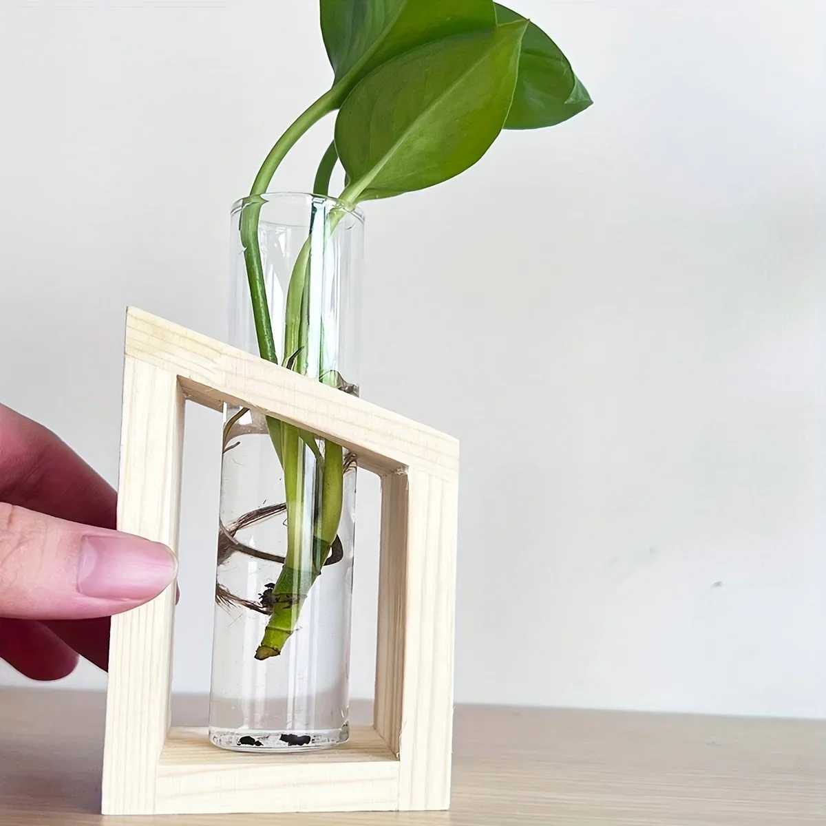 Стеклянная ваза для пробирок,  – обзор и цена Propagation Station Vase