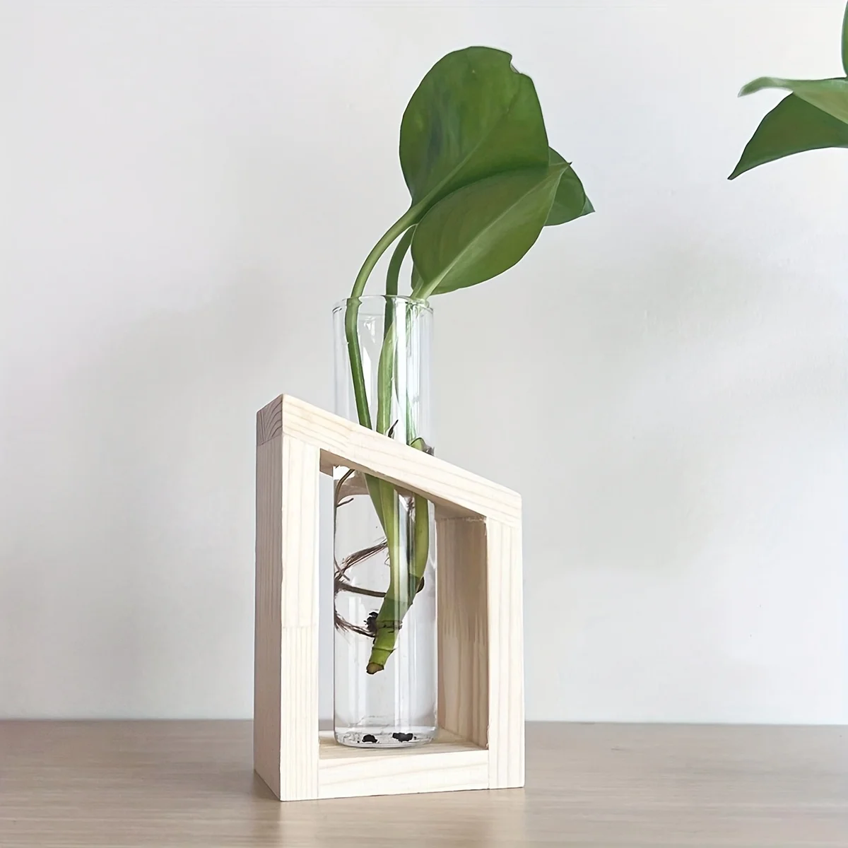 Стеклянная ваза для пробирок,  – обзор и цена Propagation Station Vase