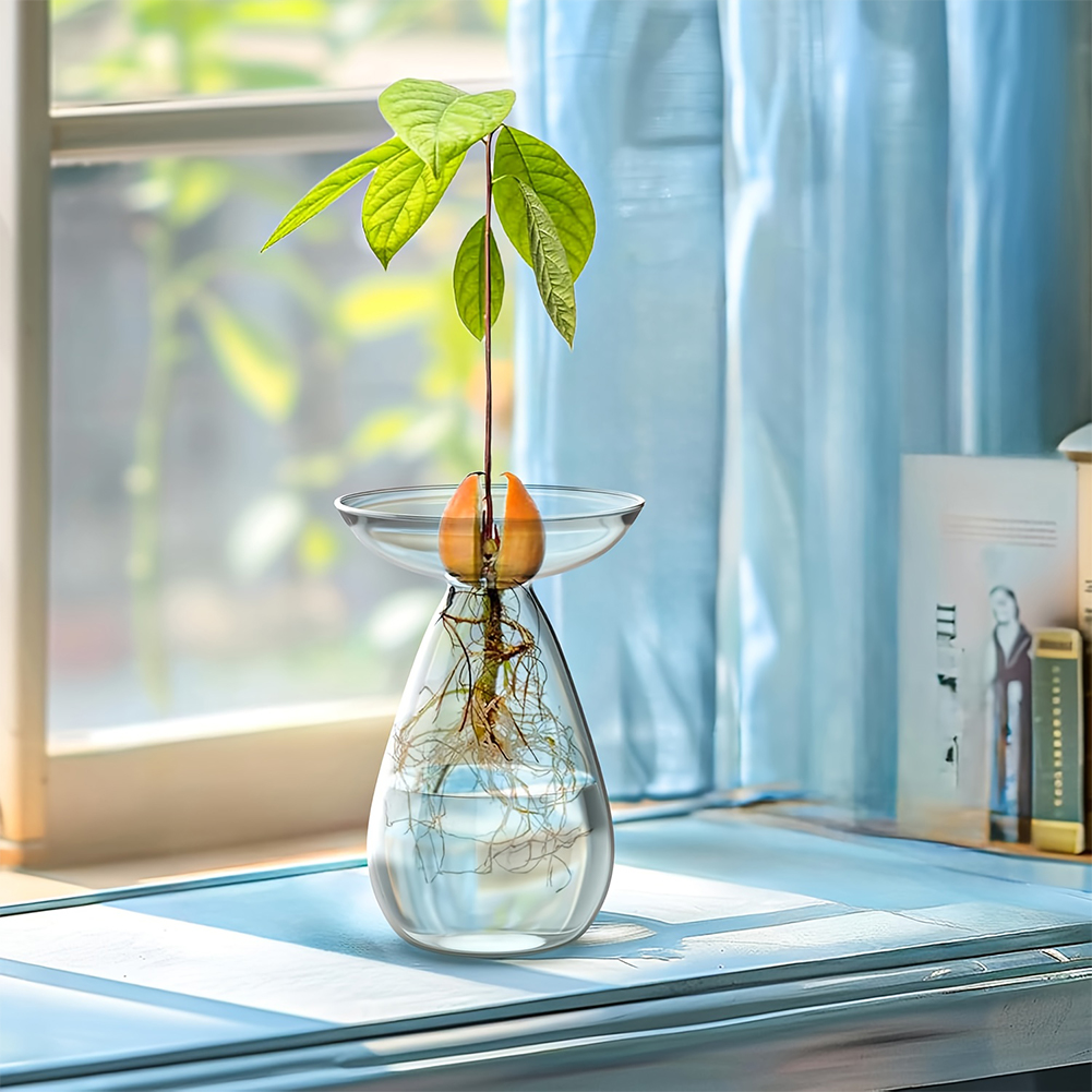 Прозрачная стеклянная ваза для – обзор и цена Propagation Station Vase
