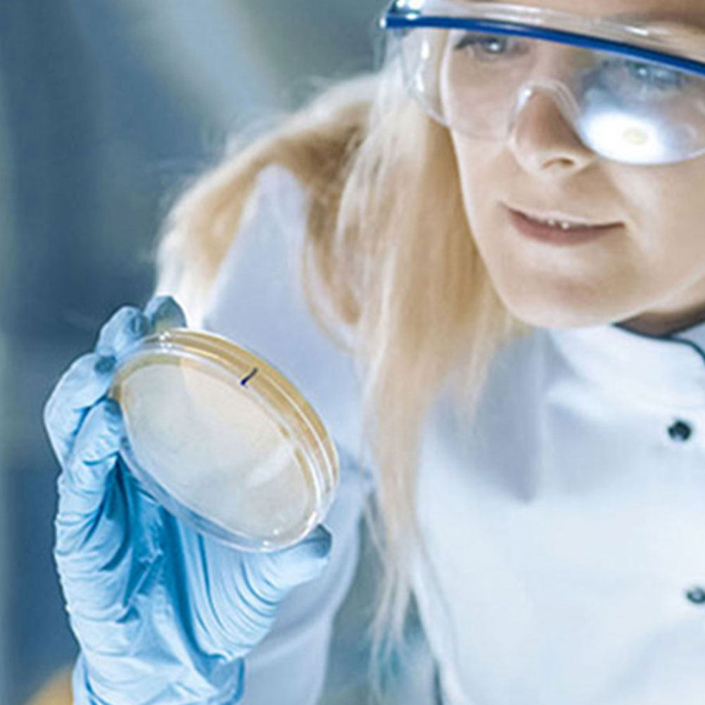 10 шт. пластиковых чашек Петри – обзор и цена Agar Tissue Culture