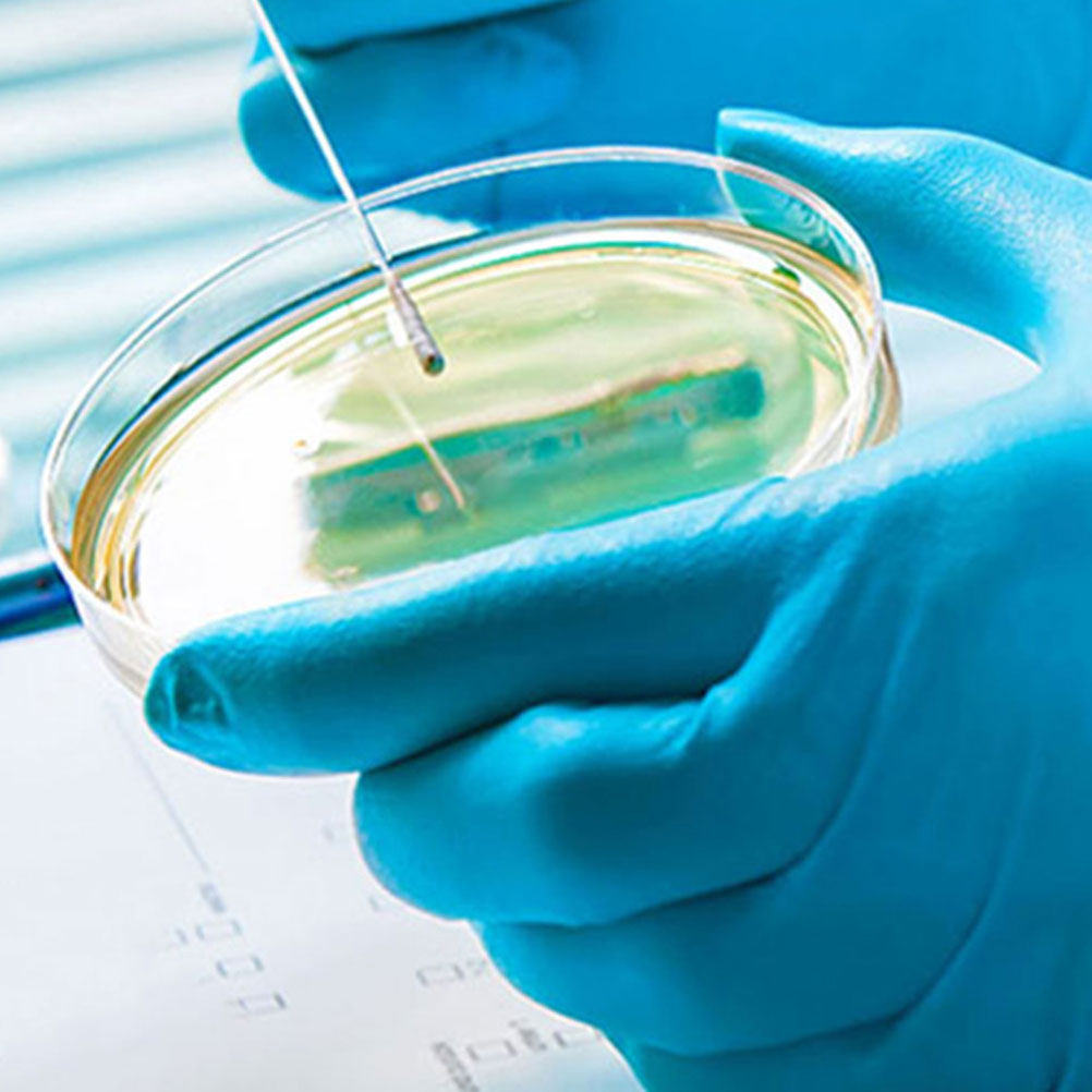 10 шт. пластиковых чашек Петри – обзор и цена Agar Tissue Culture