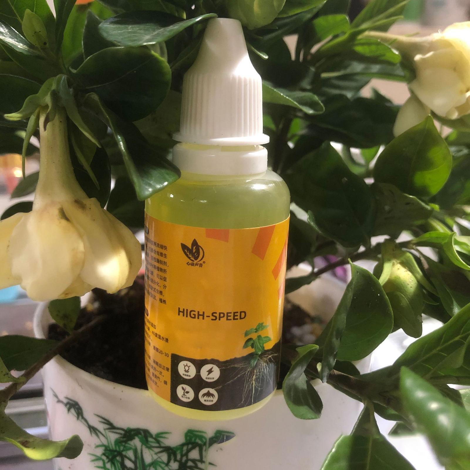 Быстрое укоренение в горшках,  – обзор и цена Root Stimulator Liquid